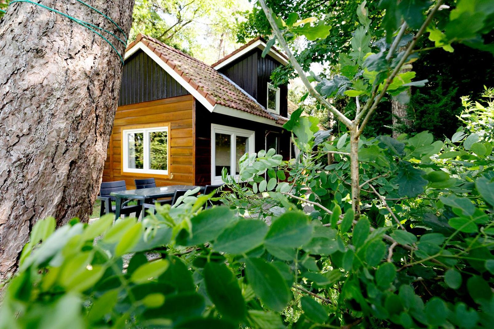 'T Eekhoornnest Villa Соест Екстериор снимка